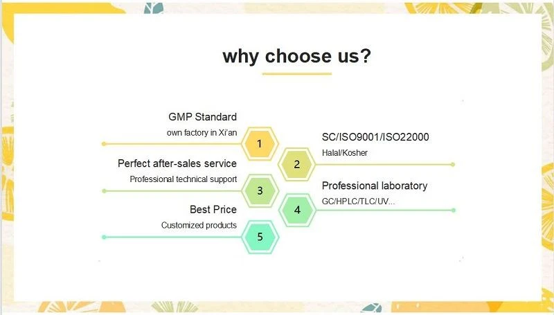 why choose us