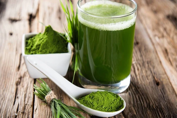 Wheat Grass Juice Powder Wheat Grass Juice Powder