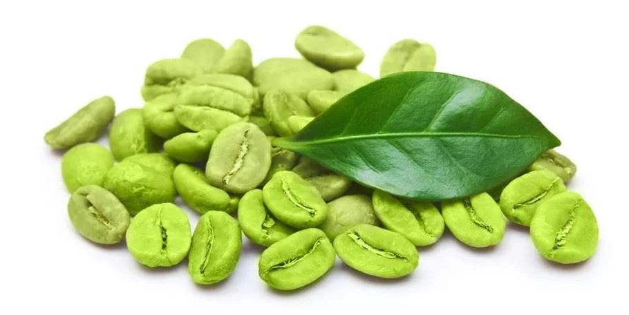 La perdita di peso con l'estratto di caffè verde in polvere è davvero efficace?