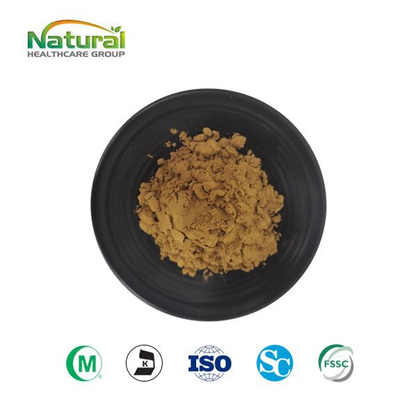 Polvere di estratto di zucca amara