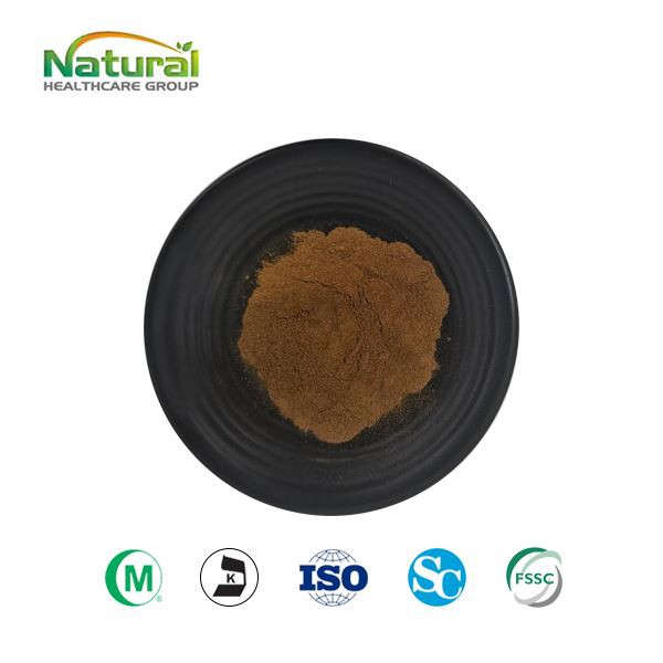 Polvere di estratto di cannella