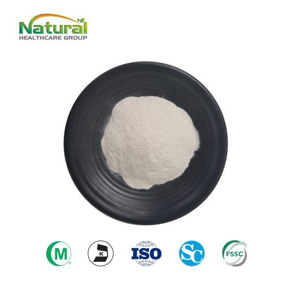 Polvere di estratto di Konjac
