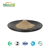 Estratto di Magnolia Officinalis in polvere