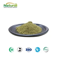 Moringa Oleifera Foglia Polvere