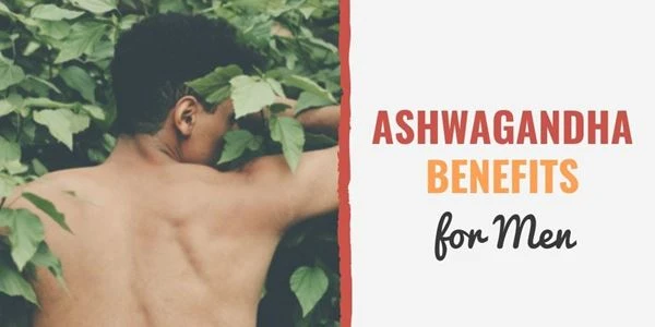 Cosa fa Ashwagandha per gli uomini?