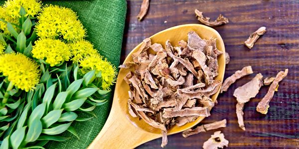 5 benefici per la salute dell'estratto di Rhodiola Rosea