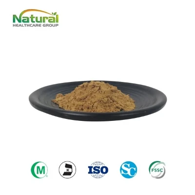 Polvere sfusa di Ginkgo Biloba