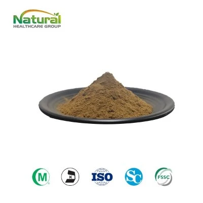 Estratto di avena in polvere