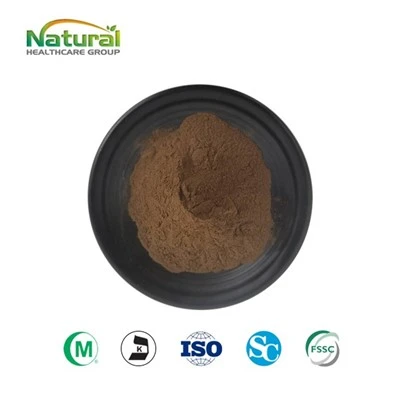 Polvere di estratto di aglio nero